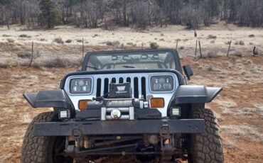 Jeep-wrangler-1992-black-6