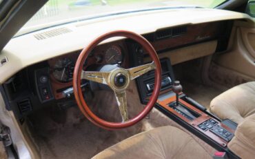 Johnson-phantom-1986-custom-12