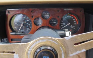 Johnson-phantom-1986-custom-13