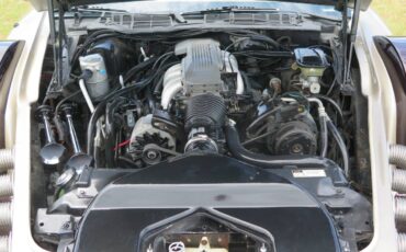 Johnson-phantom-1986-custom-19