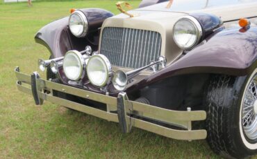 Johnson-phantom-1986-custom-20