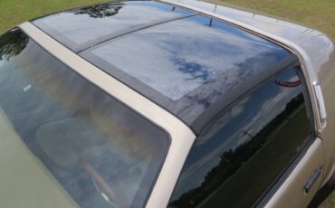 Johnson-phantom-1986-custom-22