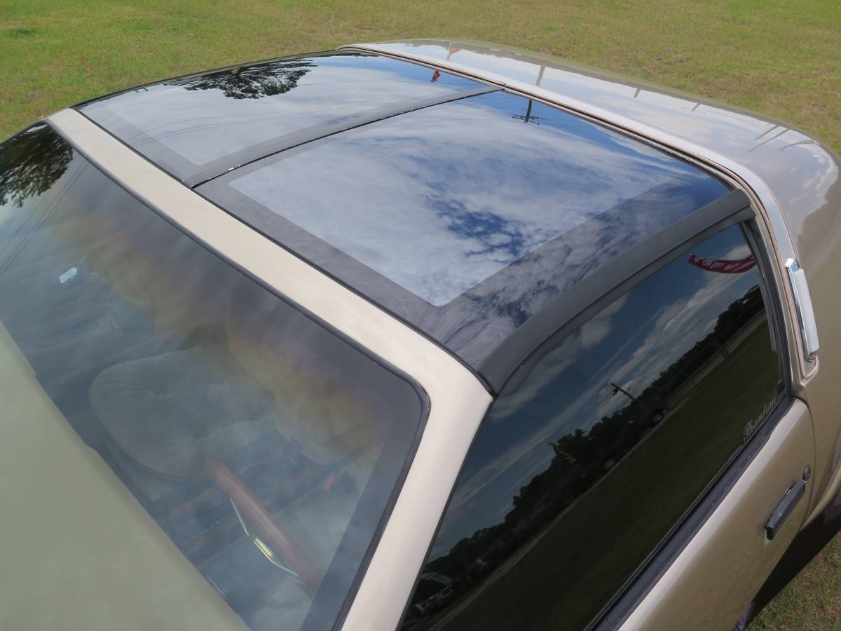 Johnson-phantom-1986-custom-22