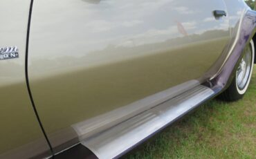 Johnson-phantom-1986-custom-23