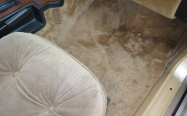 Johnson-phantom-1986-custom-6