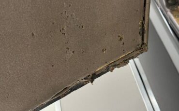 Lincoln-Other-1922-Maroon-Tan-15