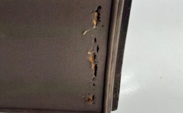 Lincoln-Other-1922-Maroon-Tan-35