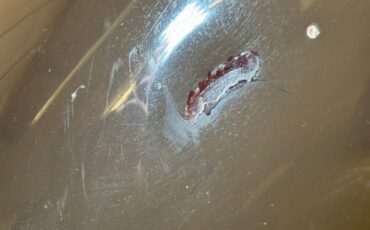 Mercedes-benz-220-1952-Tan-Tan-38