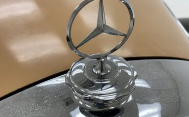 Mercedes-benz-220-1952-Tan-Tan-49