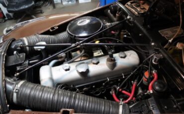 Mercedes-benz-220a-1954-Brown-Tan-8