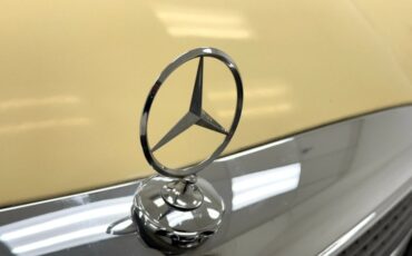 Mercedes-benz-300d-1975-Maple-Yellow-Saddle-11