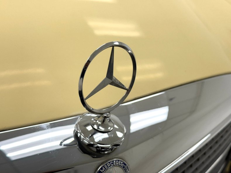 Mercedes-benz-300d-1975-Maple-Yellow-Saddle-11