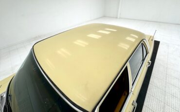 Mercedes-benz-300d-1975-Maple-Yellow-Saddle-15
