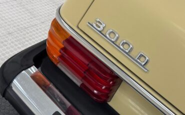 Mercedes-benz-300d-1975-Maple-Yellow-Saddle-18