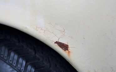 Mercedes-benz-300d-1975-Maple-Yellow-Saddle-26