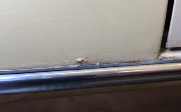 Mercedes-benz-300d-1975-Maple-Yellow-Saddle-28