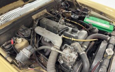 Mercedes-benz-300d-1975-Maple-Yellow-Saddle-36