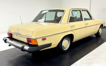 Mercedes-benz-300d-1975-Maple-Yellow-Saddle-4