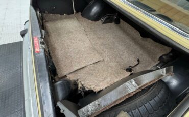 Mercedes-benz-300d-1975-Maple-Yellow-Saddle-42