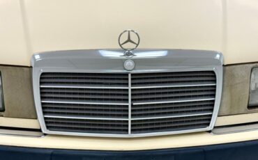 Mercedes-benz-300d-1993-Light-Ivory-Saddle-1
