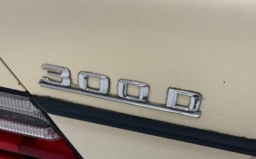 Mercedes-benz-300d-1993-Light-Ivory-Saddle-14