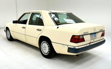 Mercedes-benz-300d-1993-Light-Ivory-Saddle-3