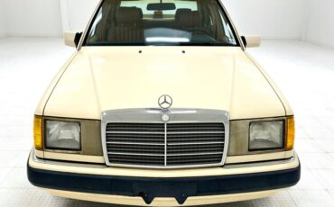 Mercedes-benz-300d-1993-Light-Ivory-Saddle-34