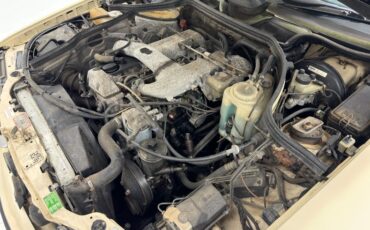 Mercedes-benz-300d-1993-Light-Ivory-Saddle-37