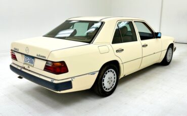 Mercedes-benz-300d-1993-Light-Ivory-Saddle-4