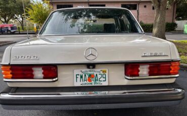 Mercedes-benz-300d-diesel-1981-grey-6