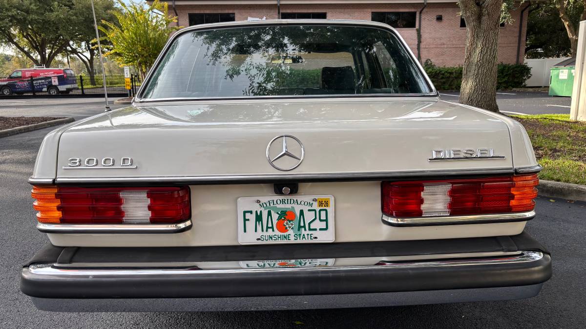 Mercedes-benz-300d-diesel-1981-grey-6