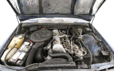 Mercedes-benz-300sd-1980-China-Blue-Blue-10