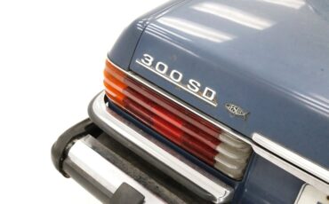 Mercedes-benz-300sd-1980-China-Blue-Blue-20