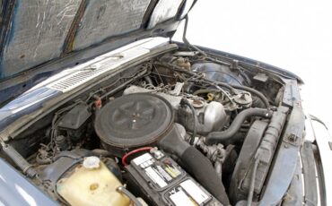 Mercedes-benz-300sd-1980-China-Blue-Blue-6