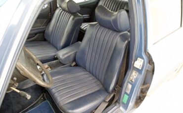 Mercedes-benz-300sd-1980-China-Blue-Blue-7