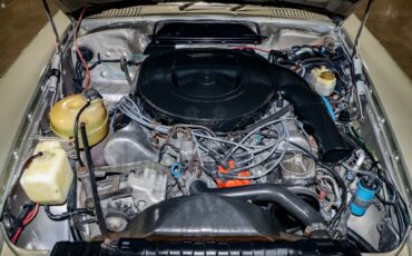 Mercedes-benz-Other-1976-Gold-BeigeTan-10