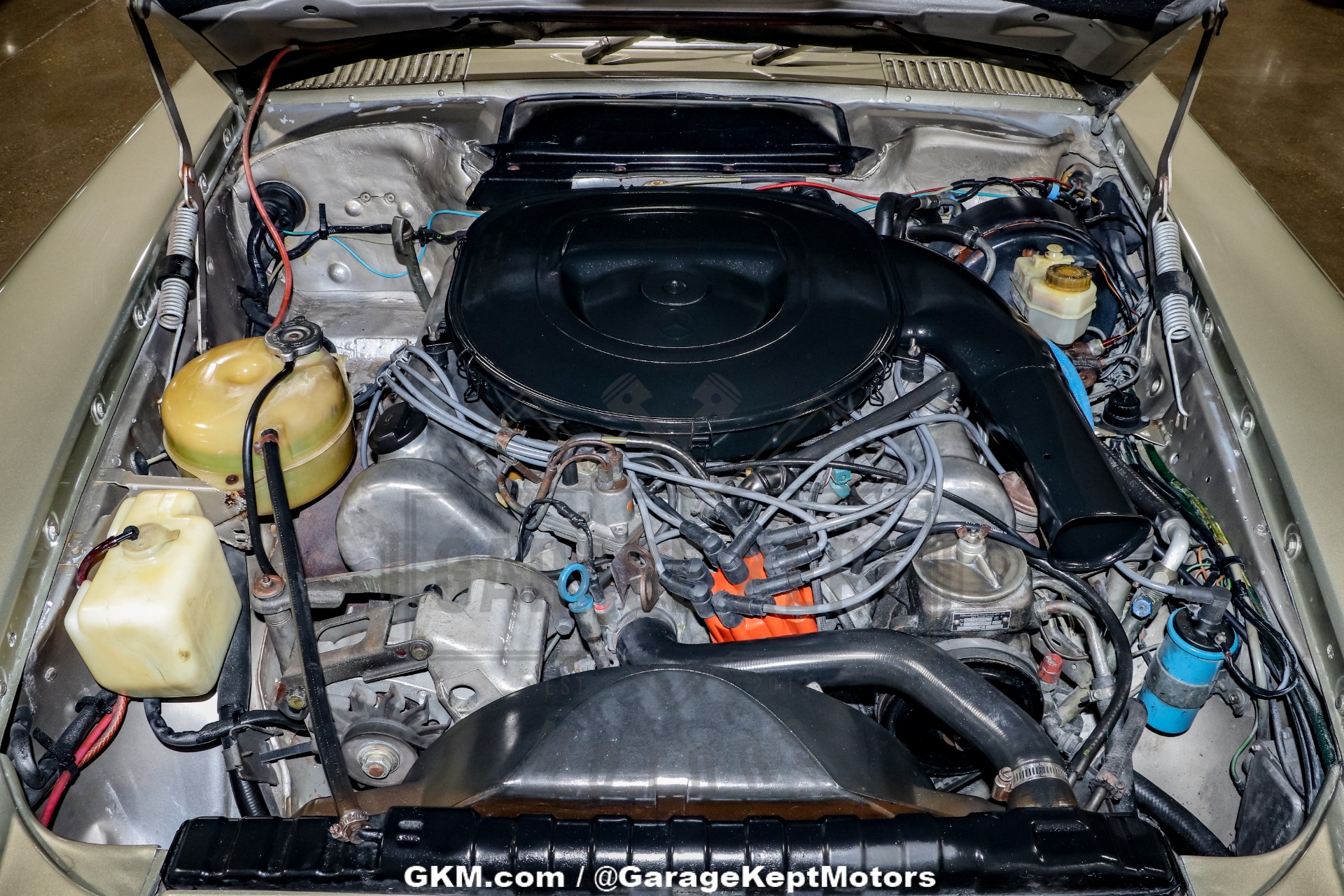 Mercedes-benz-Other-1976-Gold-BeigeTan-10