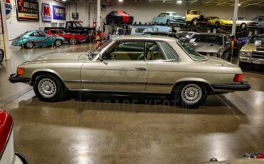 Mercedes-benz-Other-1976-Gold-BeigeTan-14