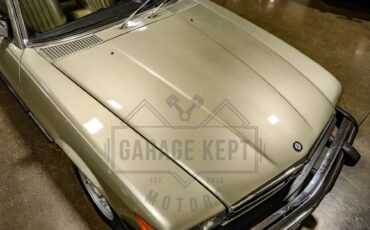 Mercedes-benz-Other-1976-Gold-BeigeTan-17