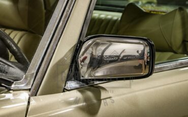 Mercedes-benz-Other-1976-Gold-BeigeTan-18
