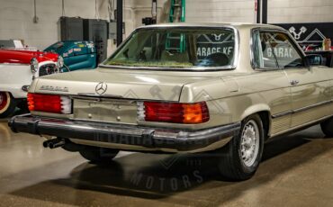 Mercedes-benz-Other-1976-Gold-BeigeTan-20