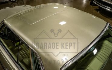 Mercedes-benz-Other-1976-Gold-BeigeTan-24