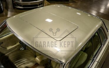 Mercedes-benz-Other-1976-Gold-BeigeTan-39