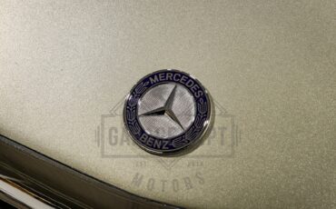 Mercedes-benz-Other-1976-Gold-BeigeTan-40