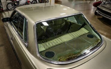 Mercedes-benz-Other-1976-Gold-BeigeTan-46
