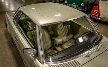 Mercedes-benz-Other-1976-Gold-BeigeTan-48