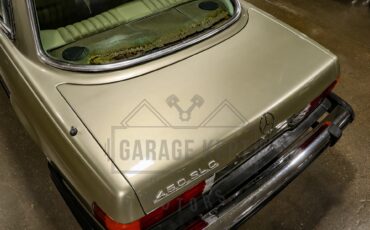 Mercedes-benz-Other-1976-Gold-BeigeTan-7