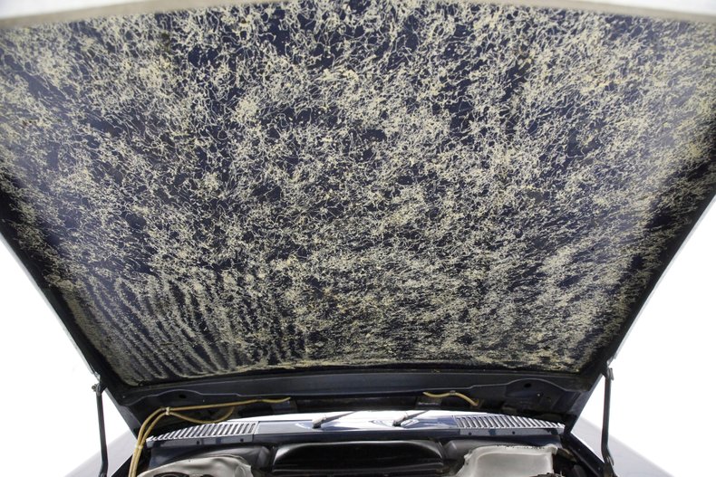 Mercedes-benz-Other-1985-Nautical-Blue-Metall-Beige-13