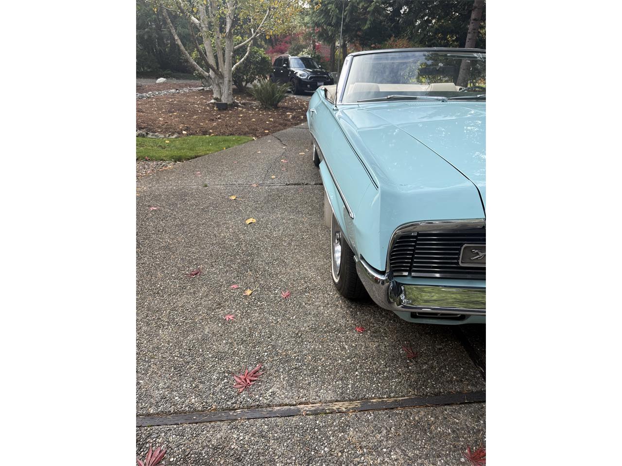 Mercury-Cougar-1969-Robins-egg-Blue-WhiteGreen-7