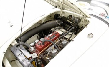 Mg-Mga-1958-Old-English-White-Black-12